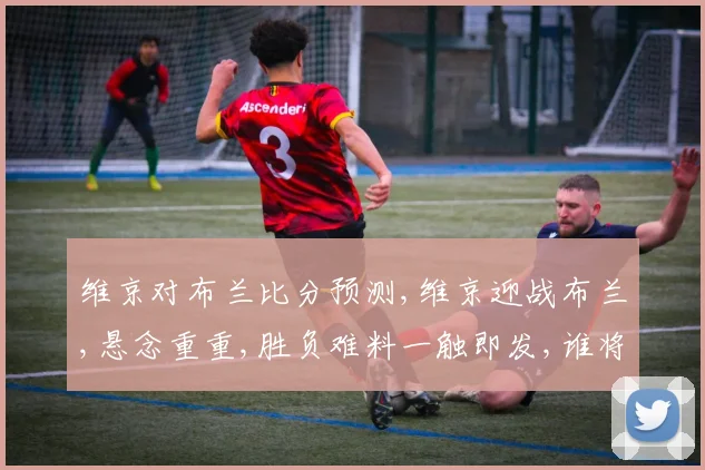 维京对布兰比分预测,维京迎战布兰,悬念重重,胜负难料一触即发,谁将笑到最后