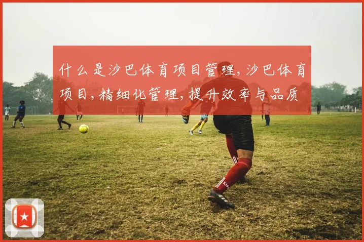 什么是沙巴体育项目管理,沙巴体育项目,精细化管理,提升效率与品质