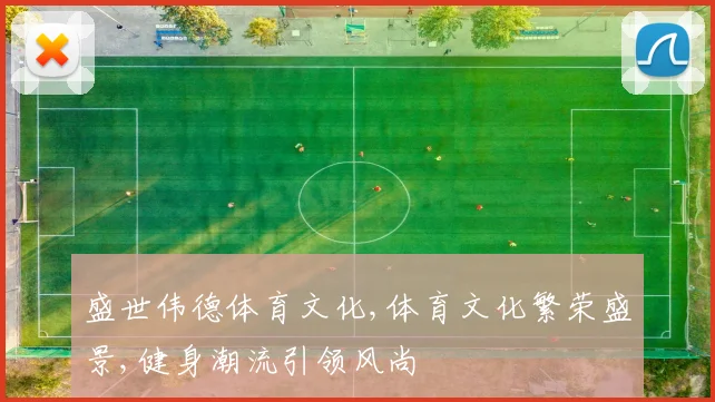 盛世伟德体育文化,体育文化繁荣盛景,健身潮流引领风尚